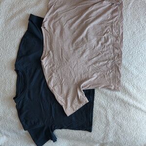 Everlane Organic Cotton Cropped Tee Bundle